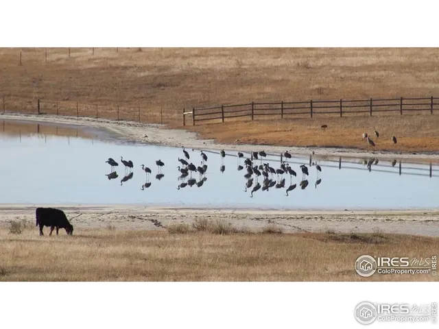 $1,060,000 | 2272 Golden Valley Road, Loveland, CO 80537