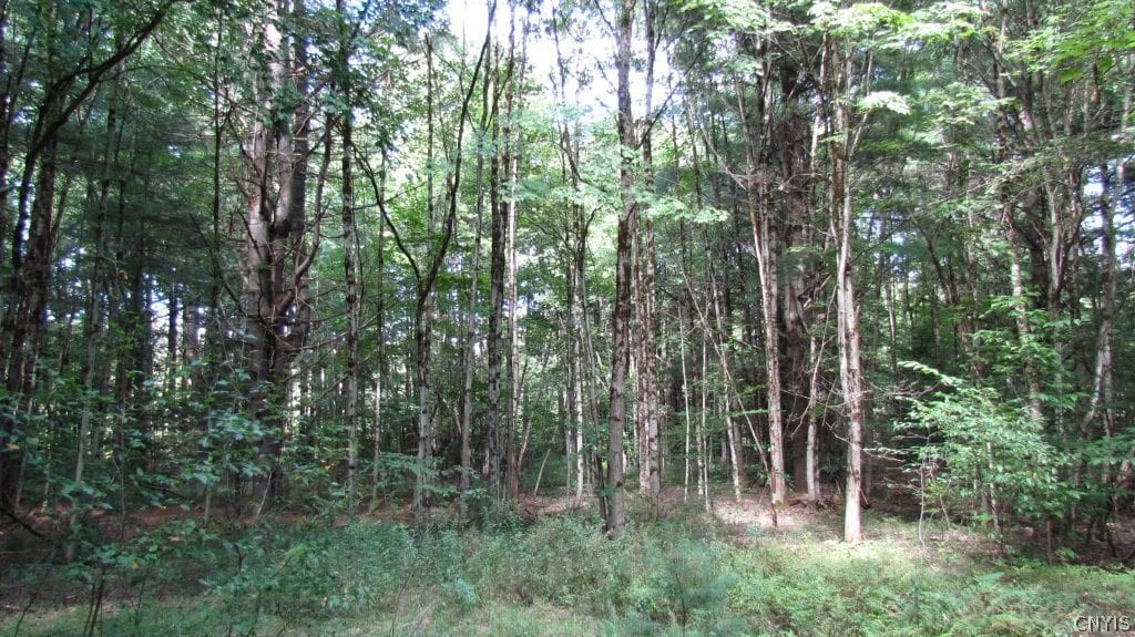 150 Birmingham Road Camden, NY 13316 - Photo 19 of 25 Gallery Image 19