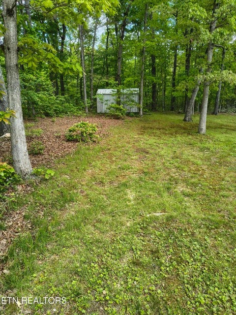 5321 Pawnee Road Crossville, TN 38572 - Photo 6 of 11 a backyard of a house with lots of green space and fountain