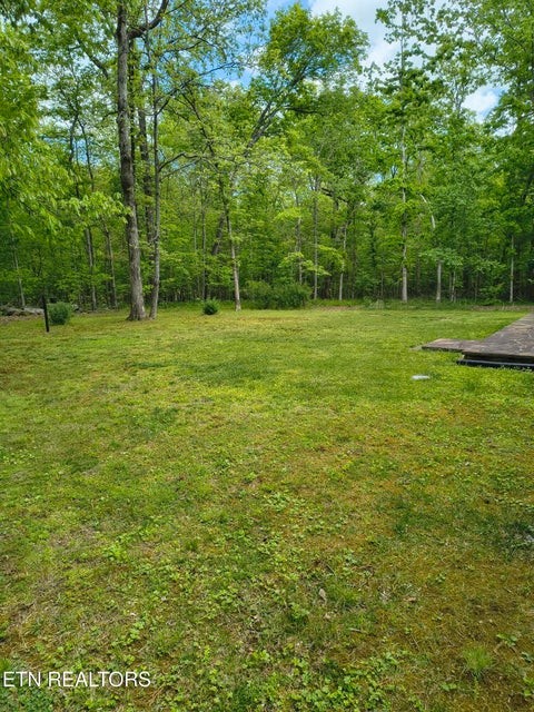 5321 Pawnee Road Crossville, TN 38572 - Photo 7 of 11 a view of a field with a tree