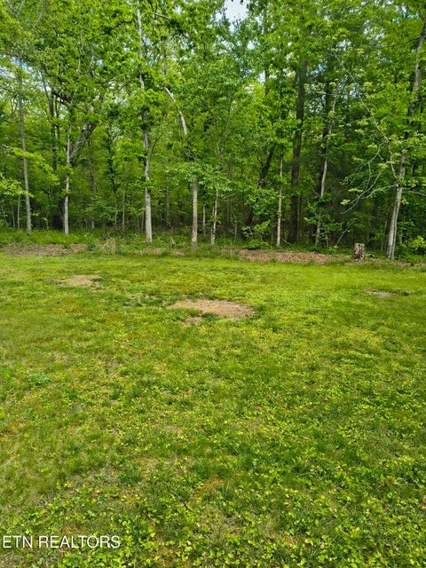 5321 Pawnee Road Crossville, TN 38572 - Photo 10 of 11 a view of a green field with wooden fence