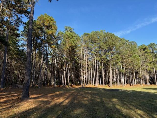 0 Myers Mayo Road, Unit LOT 5 Ridgeville, SC 29472 - Photo 12 of 12 Lot 5 Myers Mayo 1