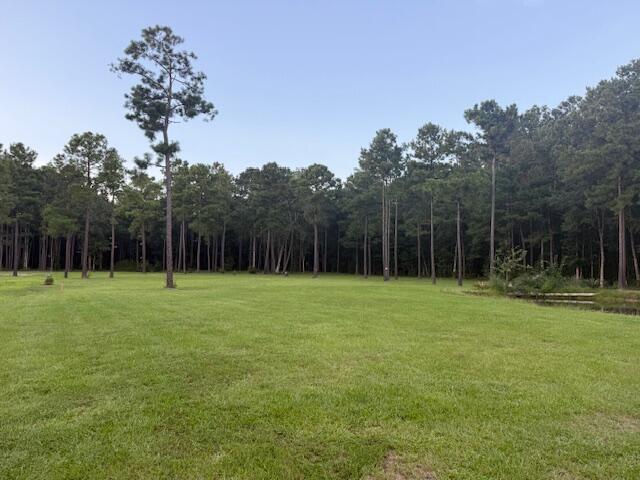 0 Myers Mayo Road, Unit LOT 5 Ridgeville, SC 29472 - Photo 2 of 12 Myers Mayo front photo