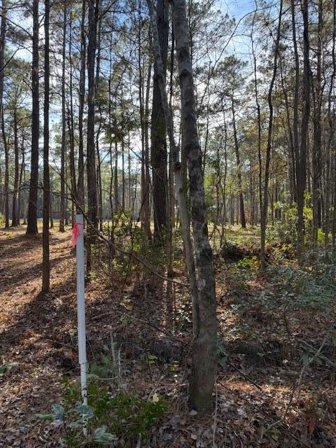 0 Myers Mayo Road, Unit LOT 5 Ridgeville, SC 29472 - Photo 5 of 12 Lot 5 Myers Mayo 8
