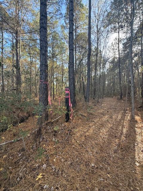 0 Myers Mayo Road, Unit LOT 5 Ridgeville, SC 29472 - Photo 6 of 12 Lot 5 Myers Mayo 7