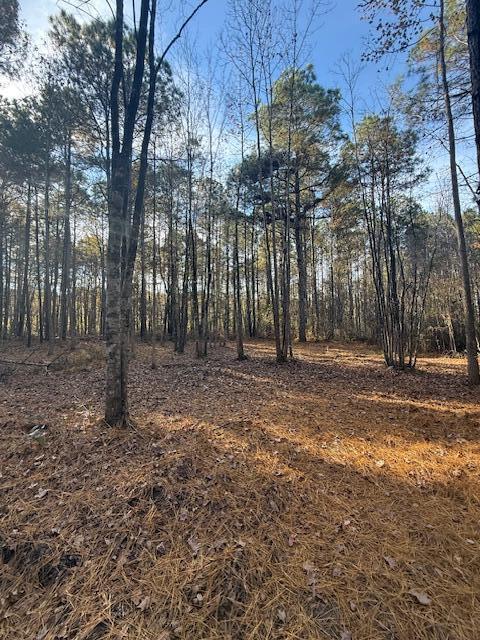 0 Myers Mayo Road, Unit LOT 5 Ridgeville, SC 29472 - Photo 8 of 12 Lot 5 Myers Mayo 5