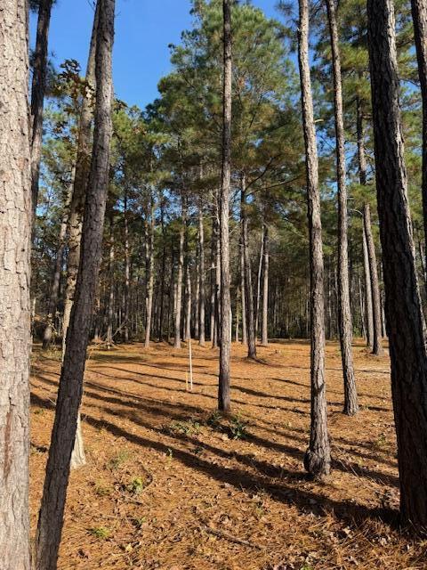 0 Myers Mayo Road, Unit LOT 5 Ridgeville, SC 29472 - Photo 9 of 12 Lot 5 Myers Mayo 4