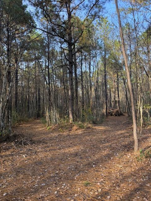 0 Myers Mayo Road, Unit LOT 5 Ridgeville, SC 29472 - Photo 10 of 12 Lot 5 Myers Mayo 3