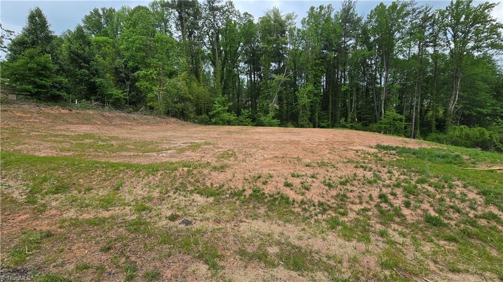 Lot 28 Meadowlark Rd Mount Mount Airy, NC 27030 - Photo 6 of 11