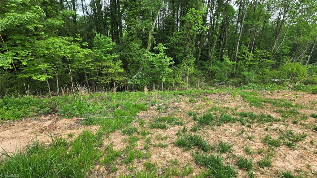 Lot 28 Meadowlark Rd Mount Mount Airy, NC 27030 - Photo 7 of 11