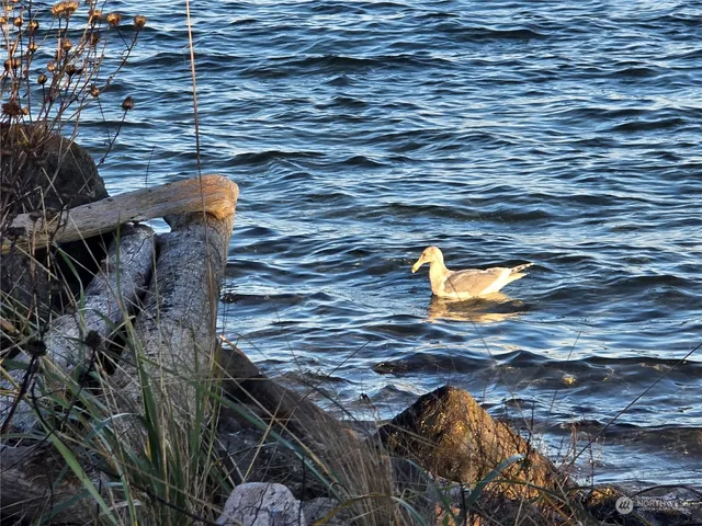 $414,900 | 365 Seattle Drive, Port Ludlow, WA 98365