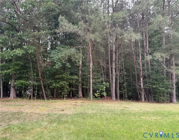 a backyard of a house with lots of trees