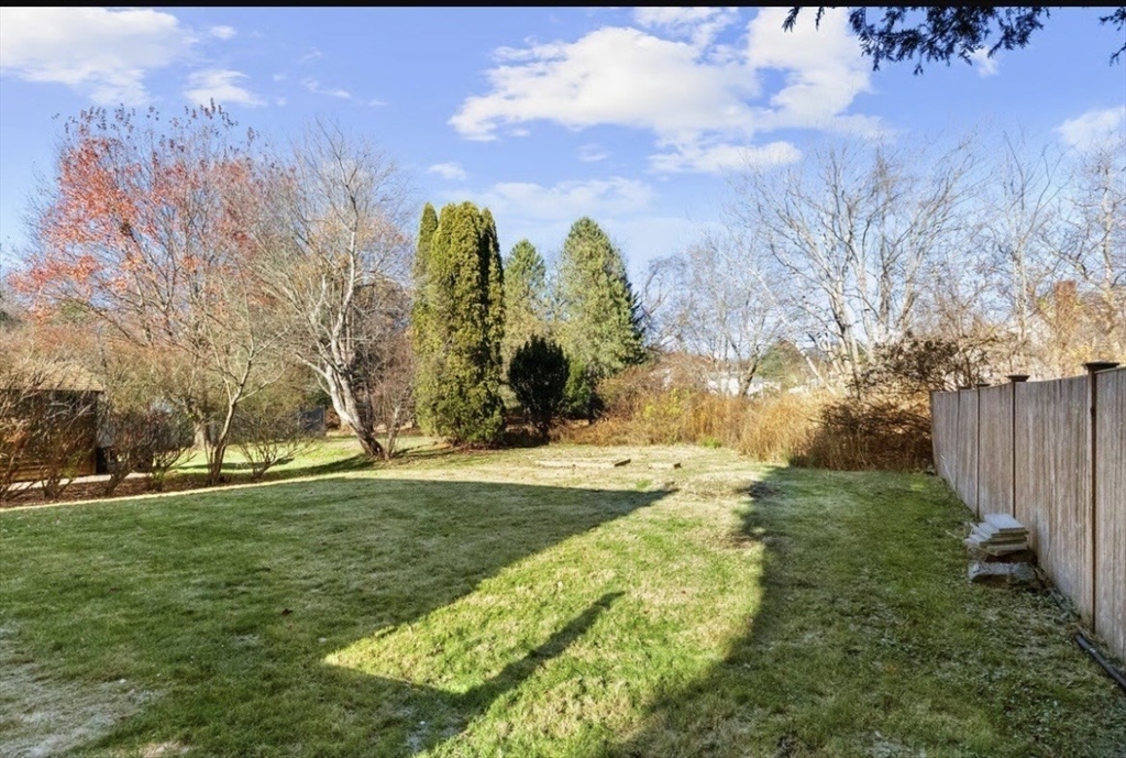 72 Grassland Street Lexington, MA 02421 - Photo 33 of 37 a view of a yard with palm trees