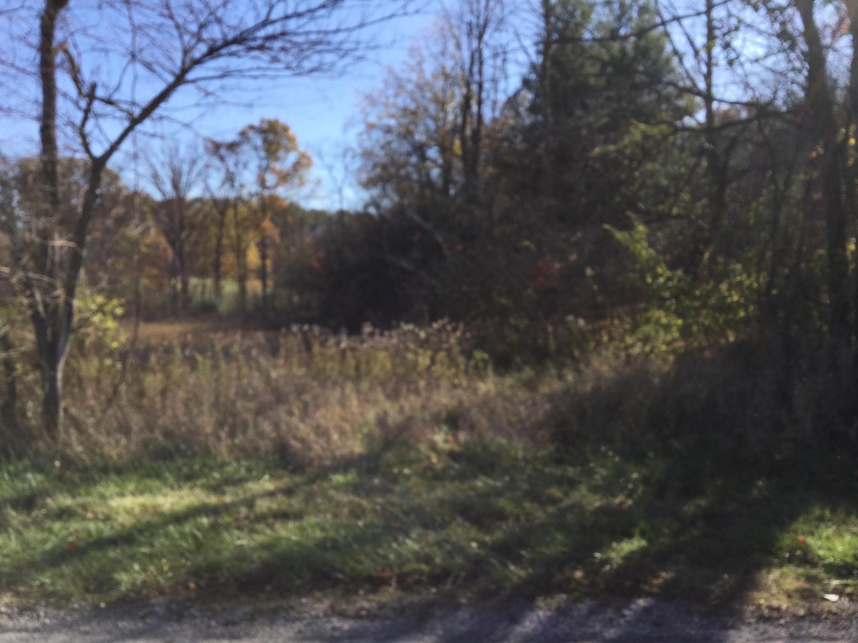 12100 Wells Road Anna, OH 45302 - Photo 4 of 9