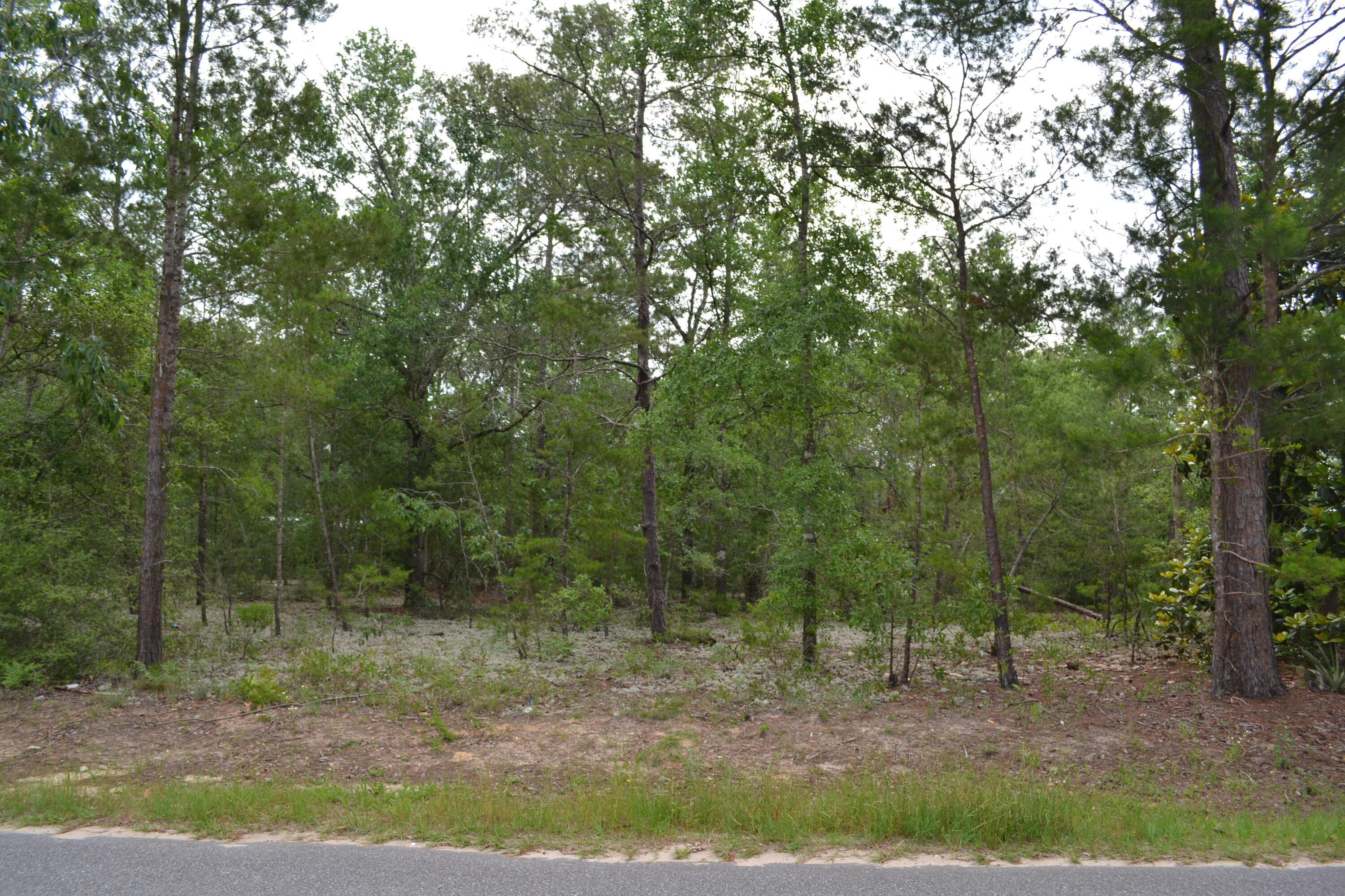 0 East Raphael Road DeFuniak Springs, FL 32433 - Photo 1 of 6 Gallery Image 1