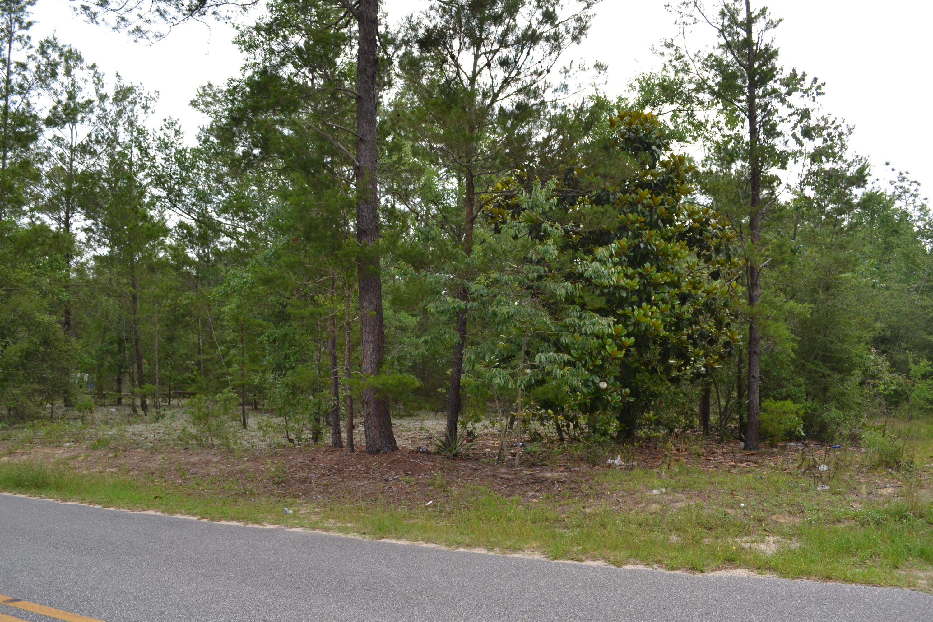 0 East Raphael Road DeFuniak Springs, FL 32433 - Photo 2 of 6 Gallery Image 2