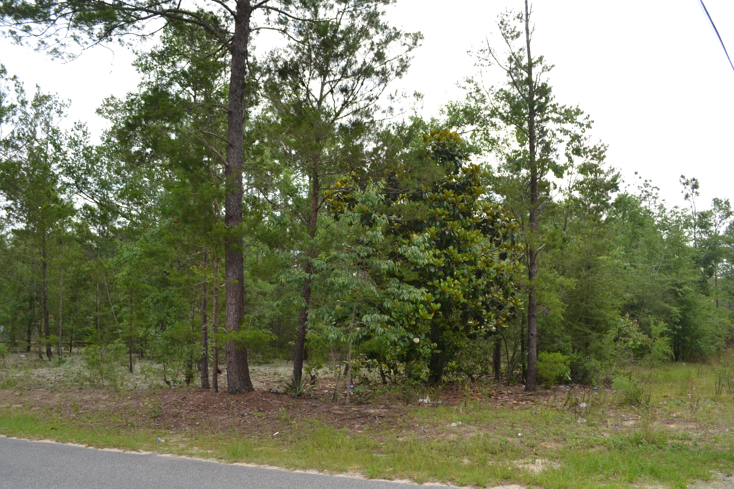 0 East Raphael Road DeFuniak Springs, FL 32433 - Photo 3 of 6 Gallery Image 3