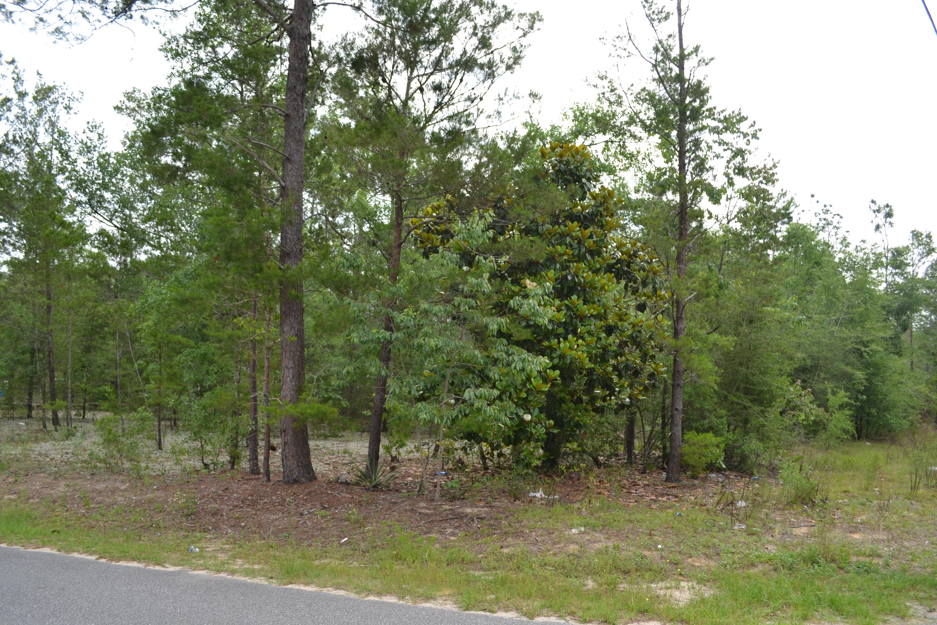 0 East Raphael Road DeFuniak Springs, FL 32433 - Photo 4 of 6 Gallery Image 4