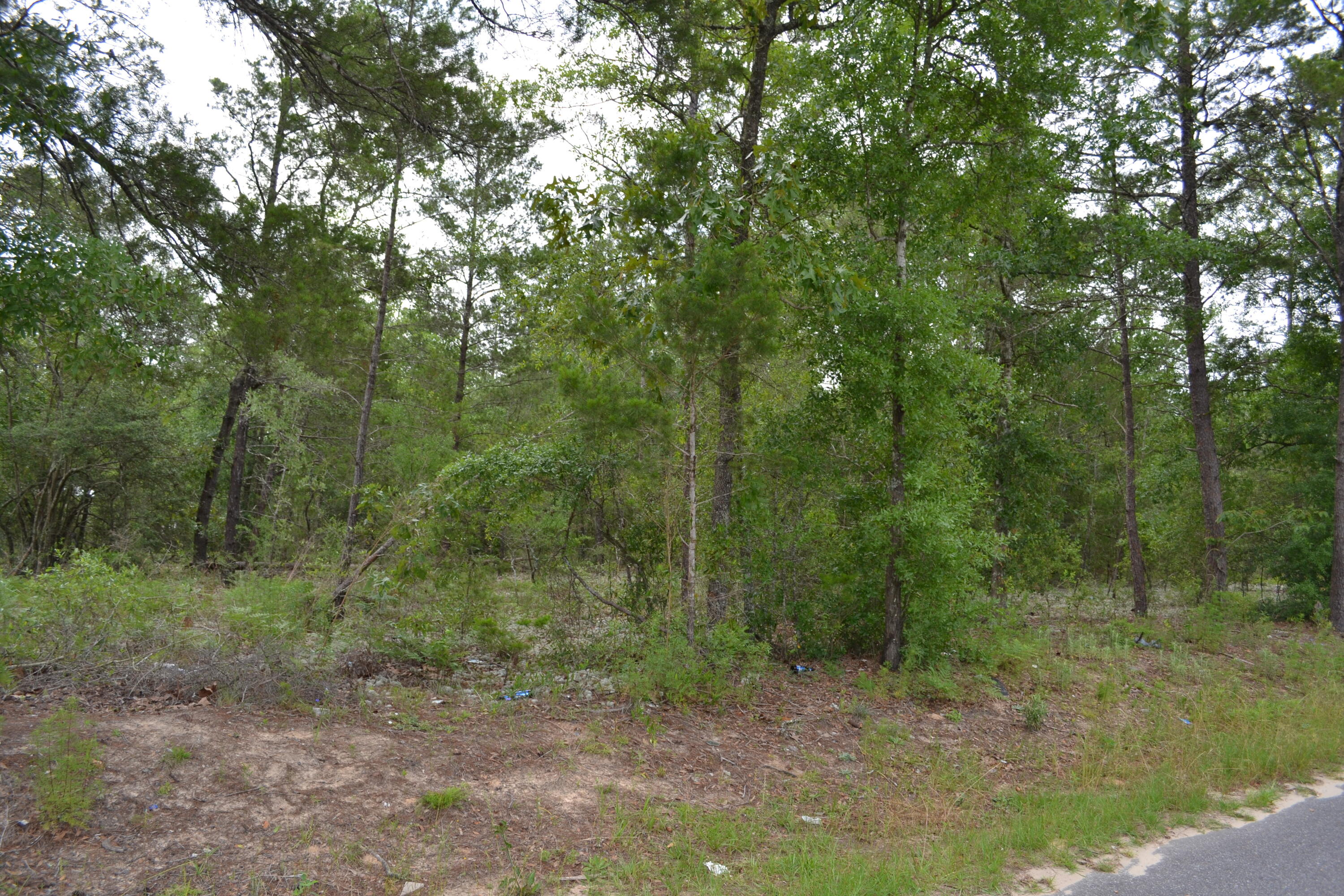 0 East Raphael Road DeFuniak Springs, FL 32433 - Photo 5 of 6 Gallery Image 5