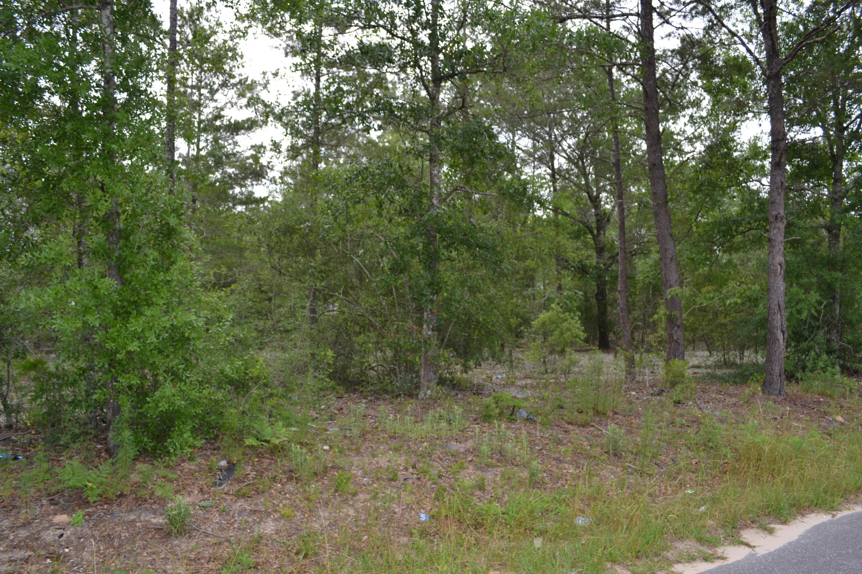 0 East Raphael Road DeFuniak Springs, FL 32433 - Photo 6 of 6 Gallery Image 6