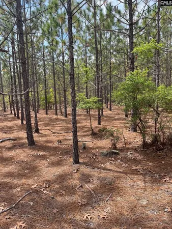 $54,900 | 8 Beaver Dam Road, Cassatt, SC 29032