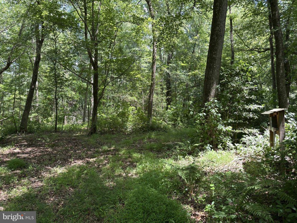 Peters Corner Road Sudlersville, MD 21668 - Photo 2 of 7