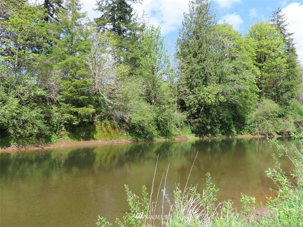 3 State Route 6 Chehalis, WA 98532 - Photo 22 of 38 a view of lake