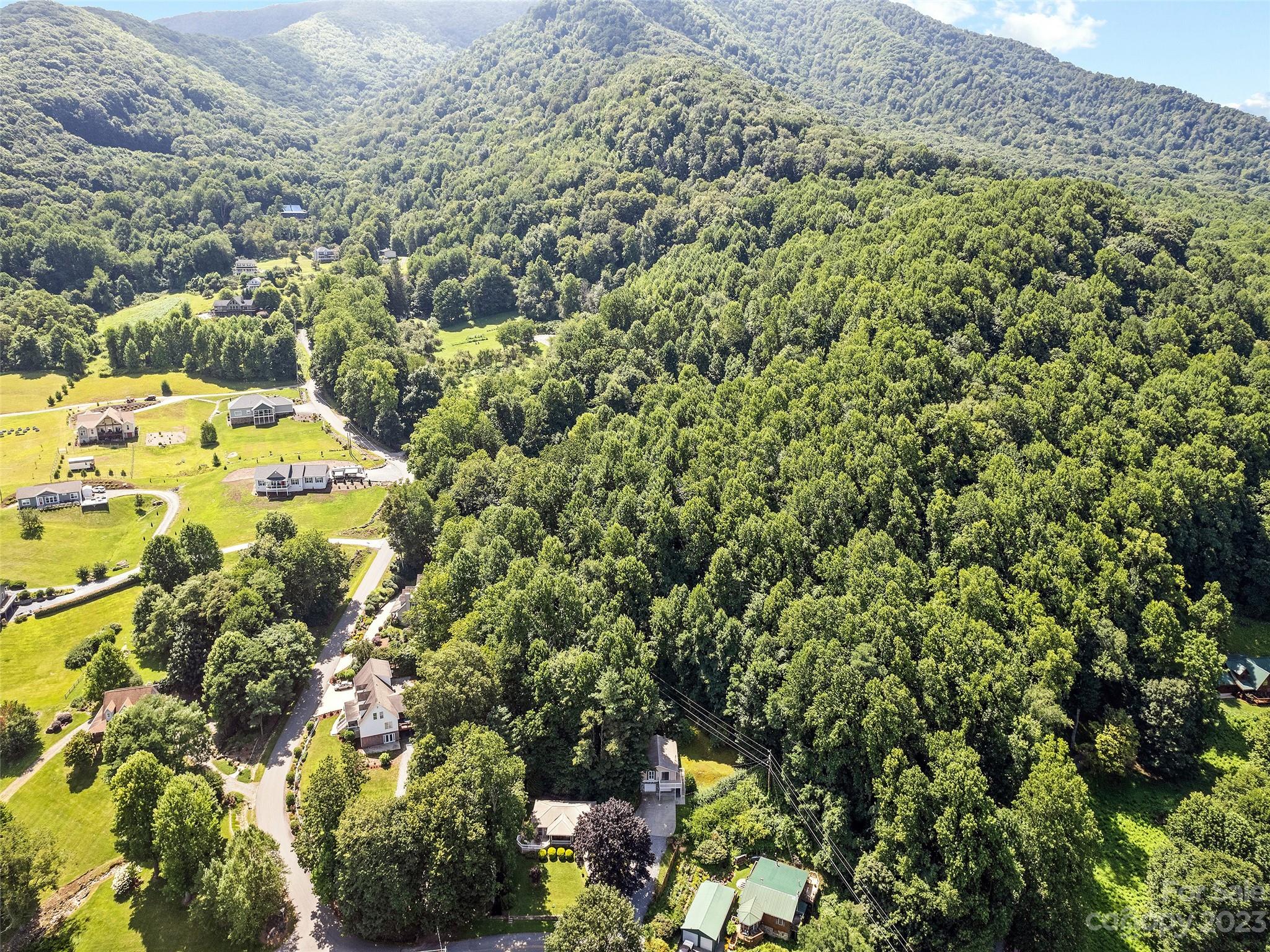 434 Red Bank Road Waynesville, NC 28786 - Photo 11 of 30 a view of a large yard with lots of bushes