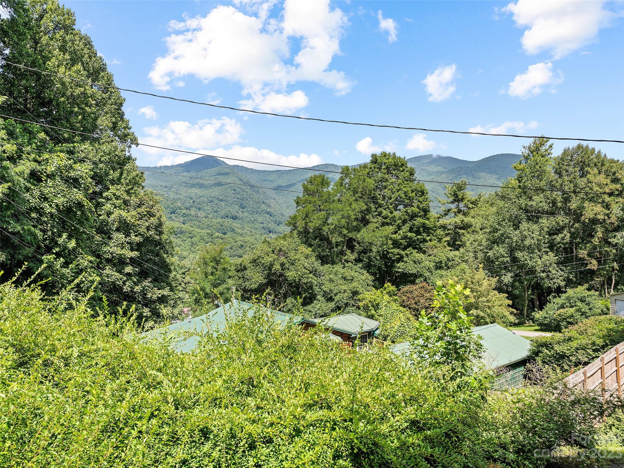 434 Red Bank Road Waynesville, NC 28786 - Photo 15 of 30 a view of a yard