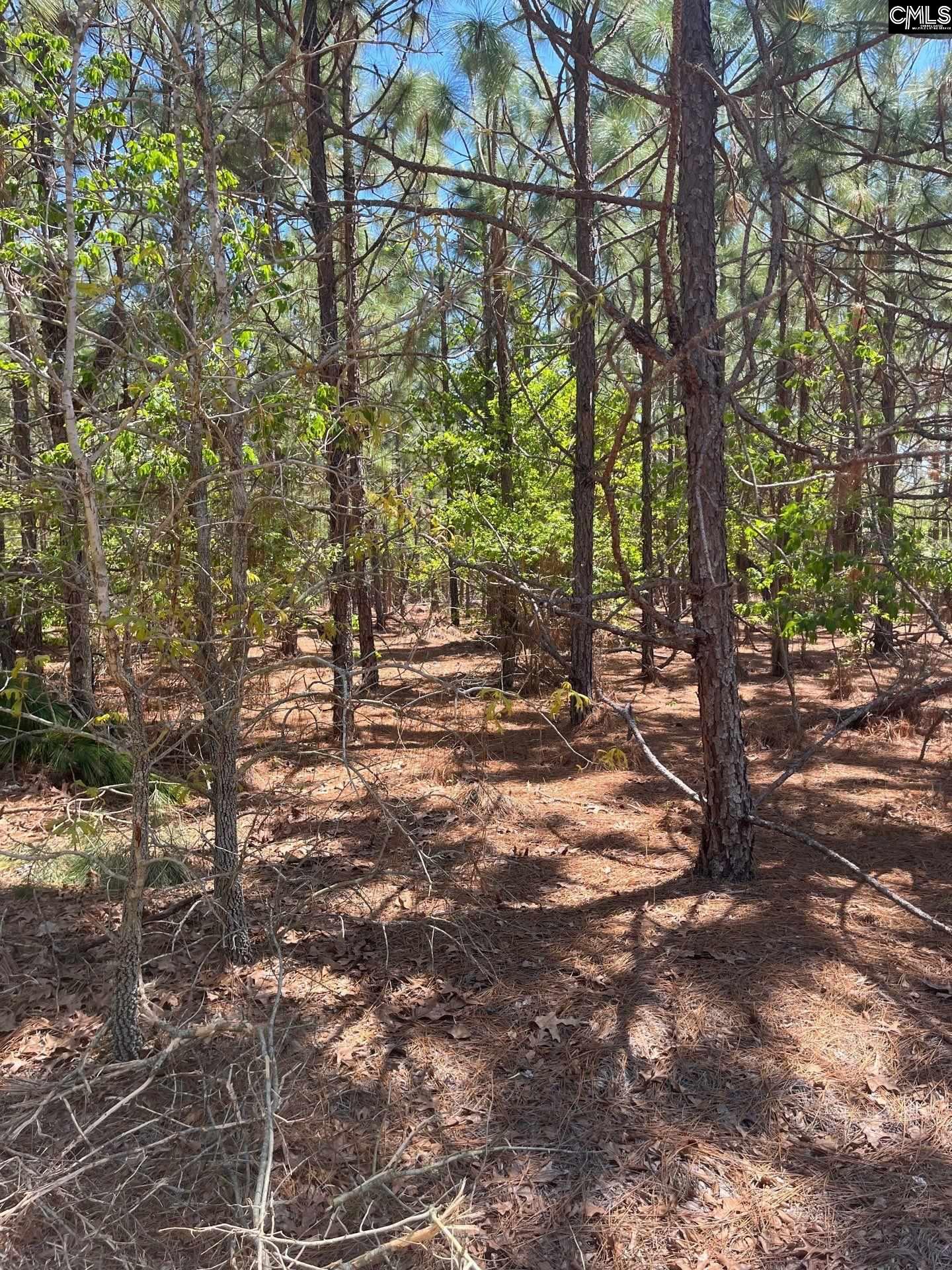 2 Beaver Dam Road Cassatt, SC 29032 - Photo 9 of 9