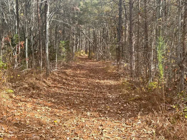 $169,900 | # Staffordtown Road, Copperhill, TN 37317