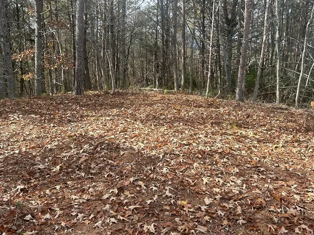 $169,900 | # Staffordtown Road, Copperhill, TN 37317