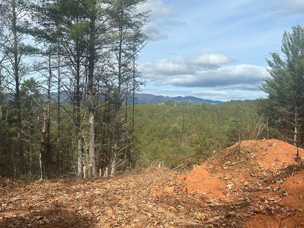 # Staffordtown Road Copperhill, TN 37317 - Photo 4 of 6