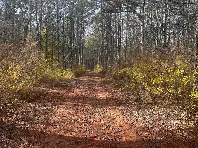 $169,900 | # Staffordtown Road, Copperhill, TN 37317