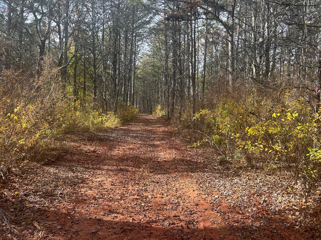 # Staffordtown Road Copperhill, TN 37317 - Photo 5 of 6