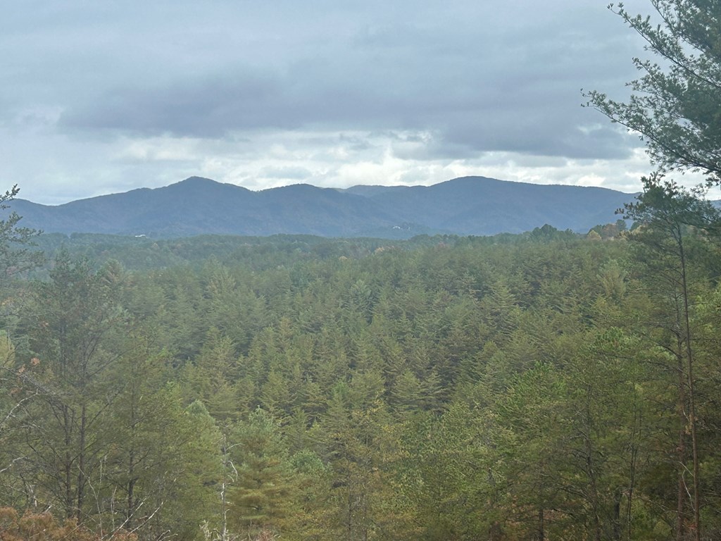 # Staffordtown Road Copperhill, TN 37317 - Photo 6 of 6