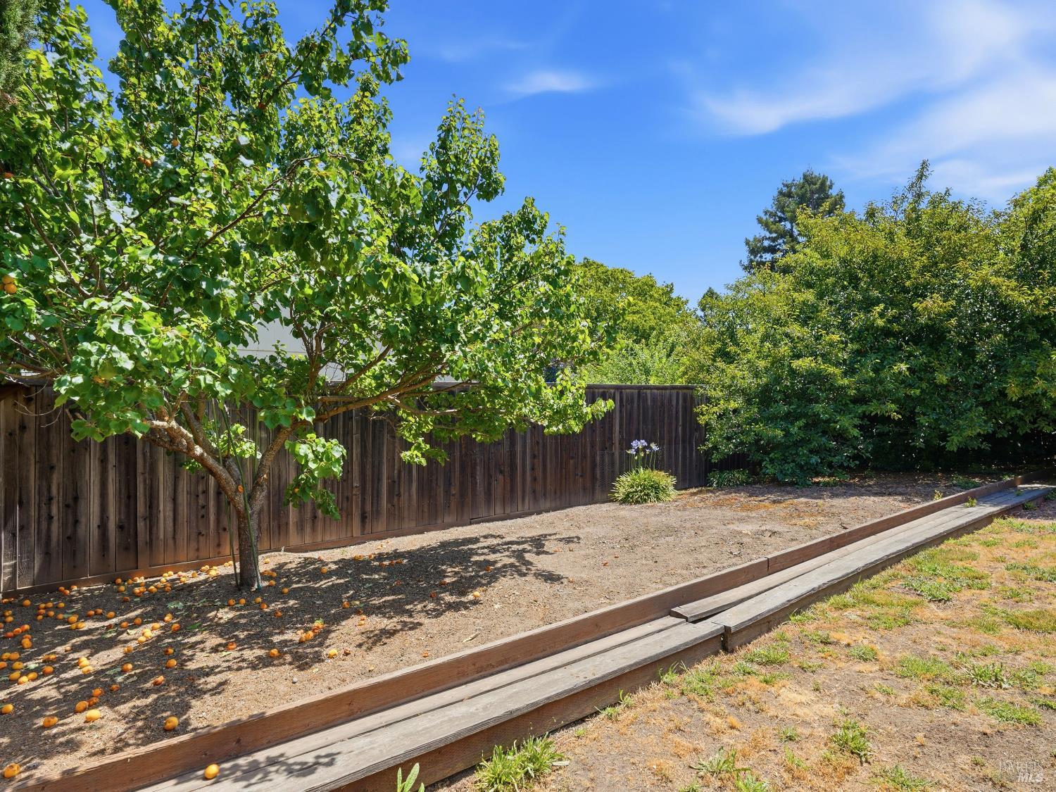 8460 Lancaster Drive Rohnert Park, CA 94928 - Photo 35 of 45