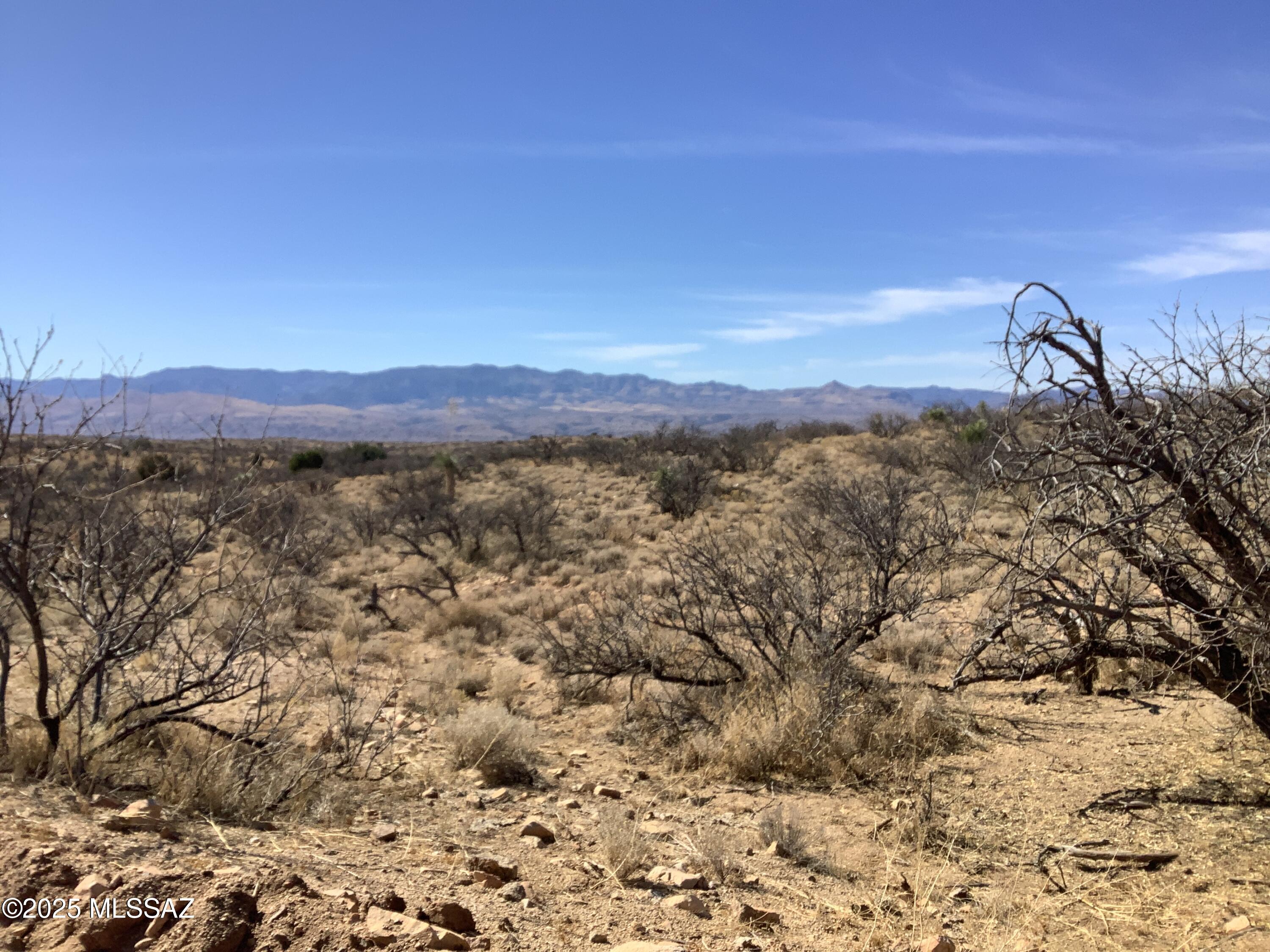 37.21-ac West Sheepwash Road, Unit 254 Willcox, AZ 85643 - Photo 9 of 37