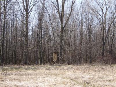 Farrand Road Sherwood, MI 49089 - Photo 1 of 4 Primary Photo