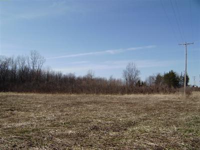 Farrand Road Sherwood, MI 49089 - Photo 2 of 4 Additional Photo
