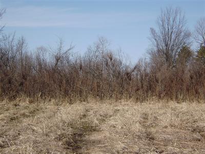 Farrand Road Sherwood, MI 49089 - Photo 3 of 4 Additional Photo