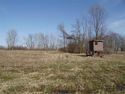 Farrand Road Sherwood, MI 49089 - Photo 4 of 4 Additional Photo