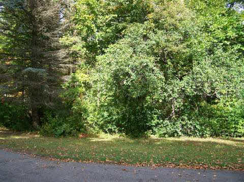4106 East Pierson Road Flint, MI 48506 - Photo 16 of 21 20375214-15.JPG
