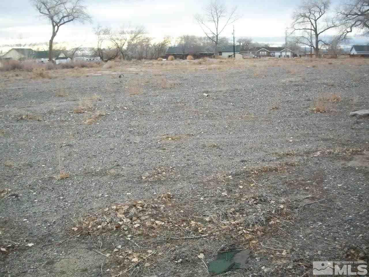 7135 Reno Highway Fallon, NV 89406 - Photo 8 of 10 a view of a field with large trees