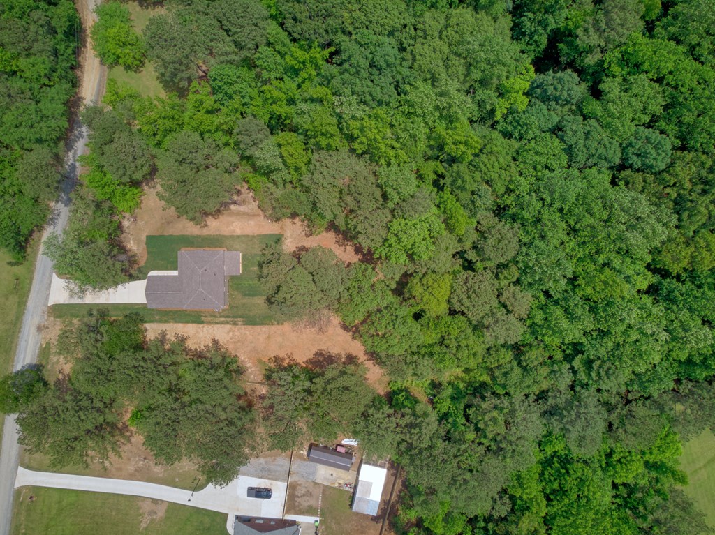 120 Justice Road Waverly Hall, GA 31831 - Photo 44 of 54