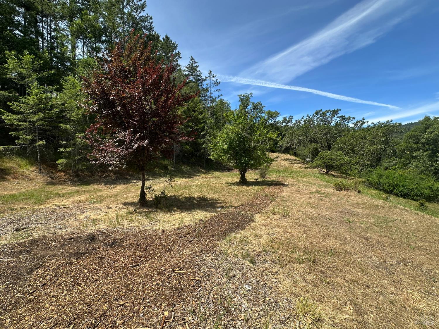 0 West Cherry Creek Road Cloverdale, CA 95425 - Photo 2 of 3 a view of a yard with a tree