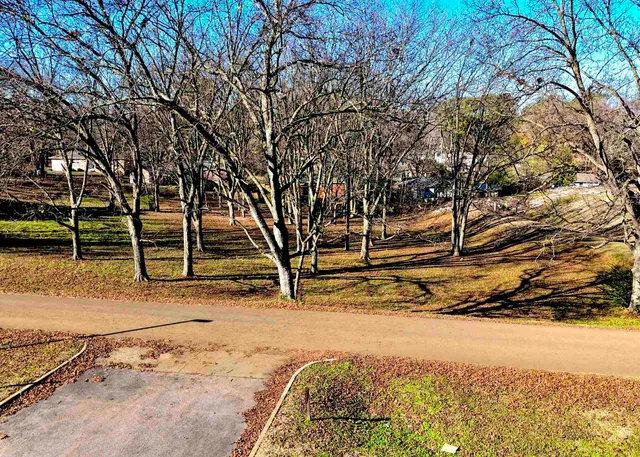 a view of a yard with snow on the road