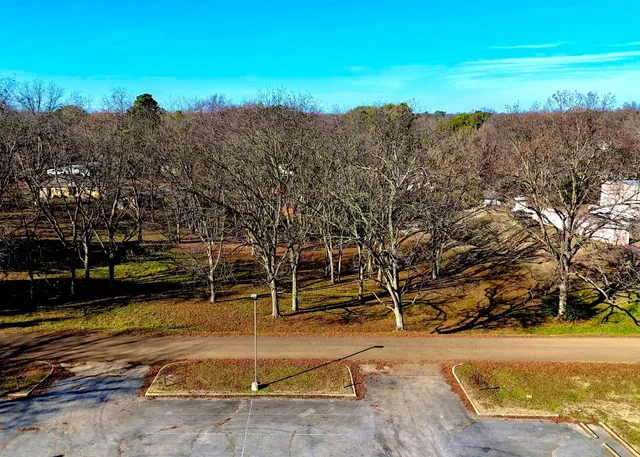 a view of a yard with an outdoor space