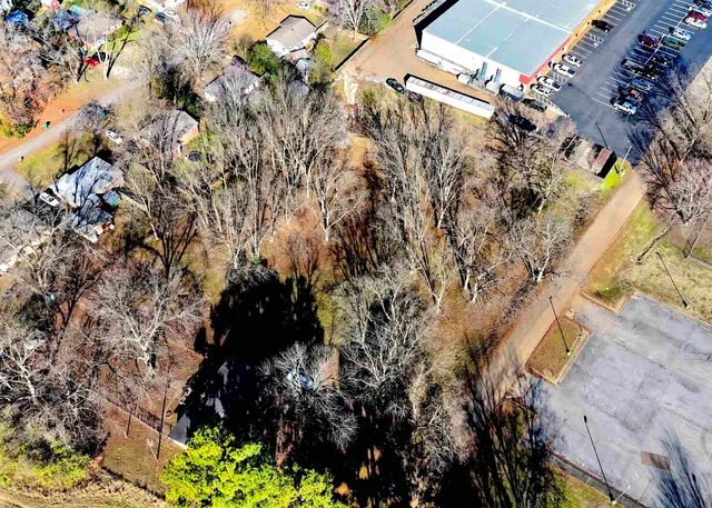 a picture of flowers