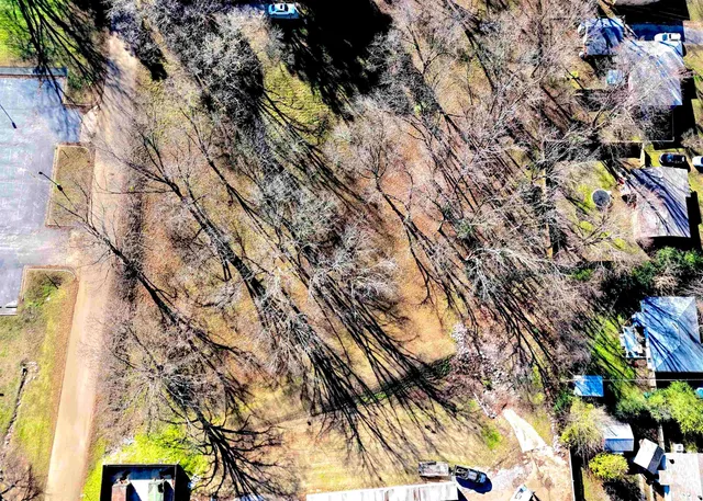 a view of outdoor space with lots of trees